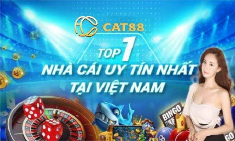 Hướng dẫn tìm link vào cat88 chính xác nhất