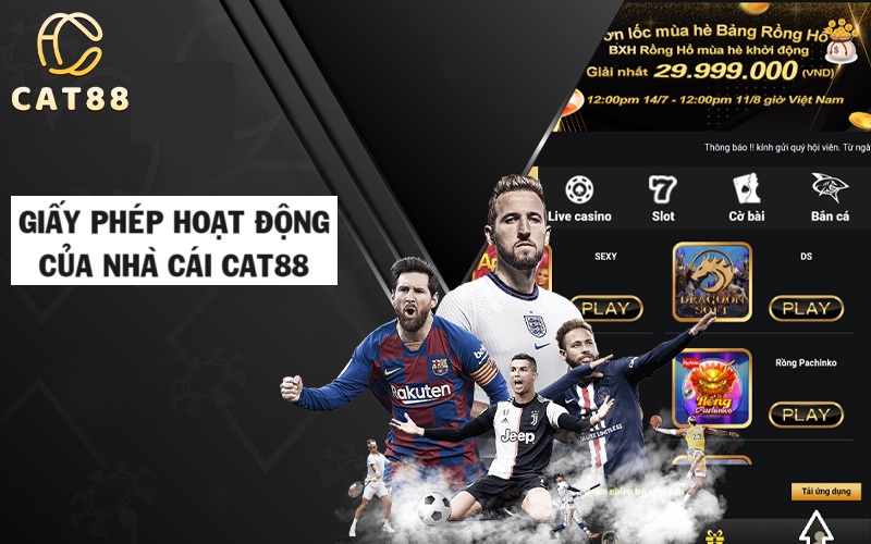 Thông tin về giấy phép hoạt động của nhà cái CAT88