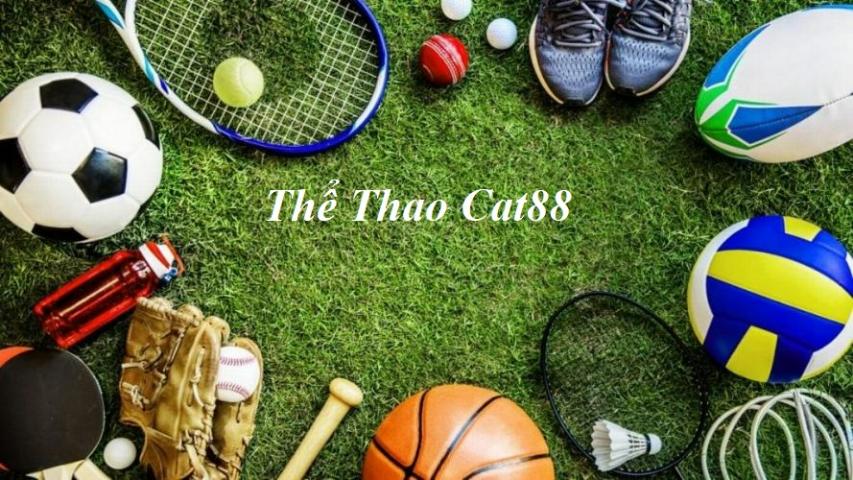 Vì sao nên trải nghiệm sảnh thể thao Cat88 ngay hôm nay?