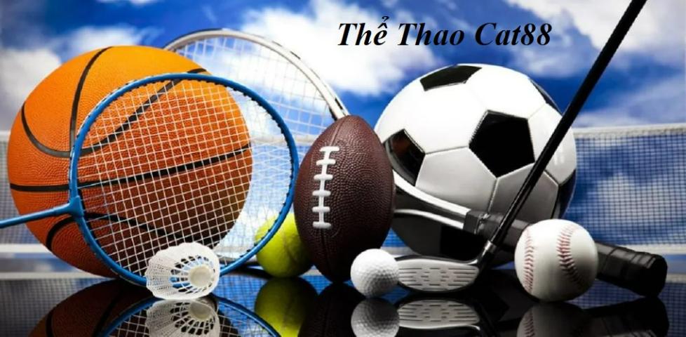 Sảnh thể thao Cat88 đảm bảo minh bạch và an toàn tuyệt đối cao.