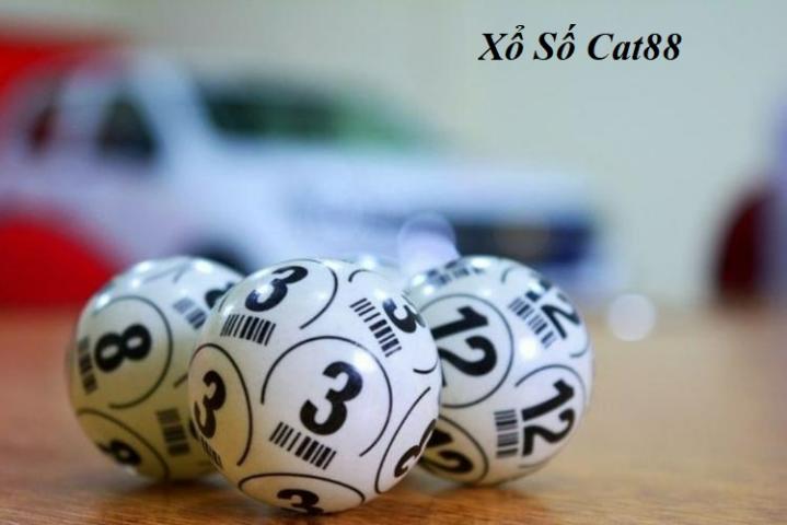 Trải nghiệm sảnh xổ số cat88 ngay hôm nay.