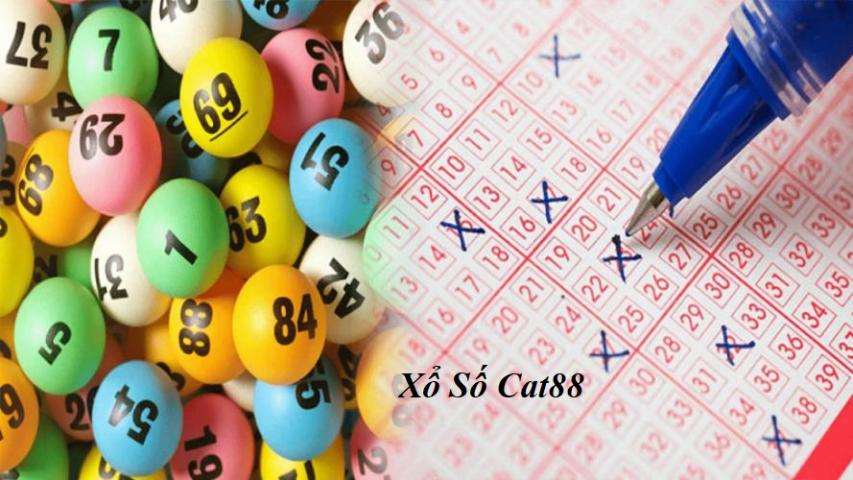 Vì sao nên tham gia chơi xổ số online tại cat88?