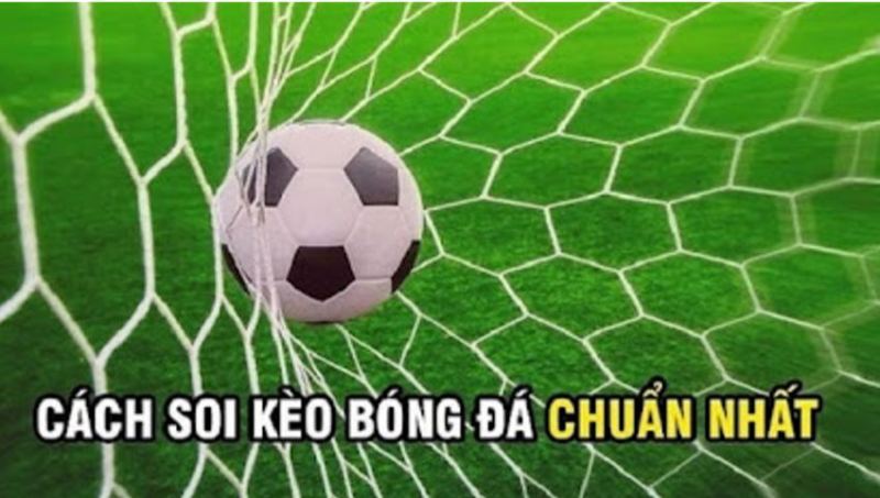 Cách nhận định kèo bóng Cat88 chuẩn xác nhất