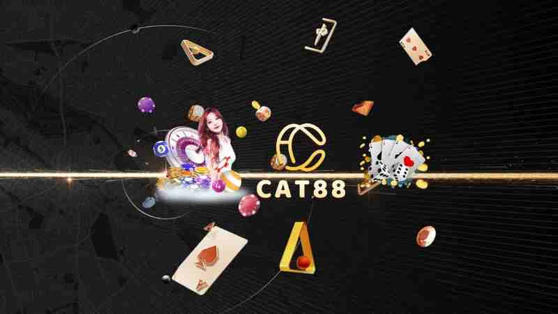 Chính sách đãi ngộ tại Cat88
