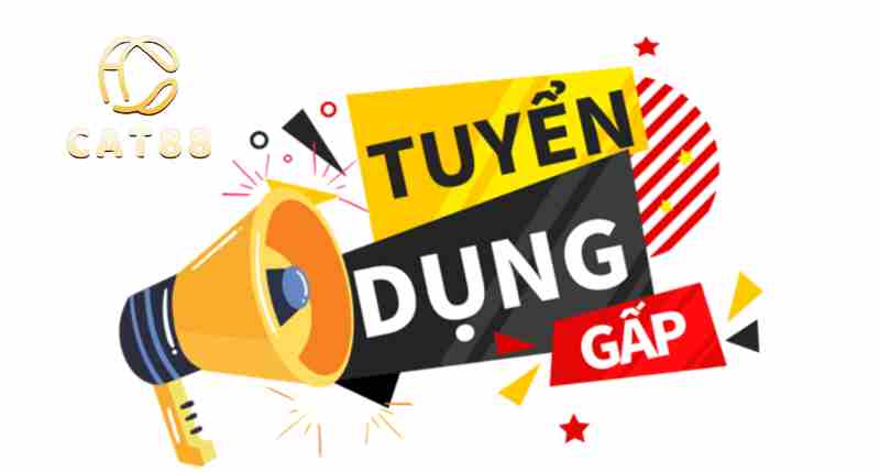 Quy trình tuyển dụng Cat88 mà anh cần nắm rõ